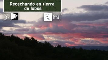 Recechando en tierra de lobos