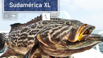 Sudamérica XL