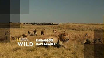 Enemigos implacables