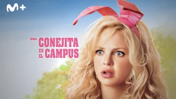 Una conejita en el campus