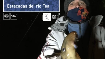 Estacadas del río Tea