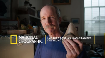 Las diez bestias más grandes del mundo