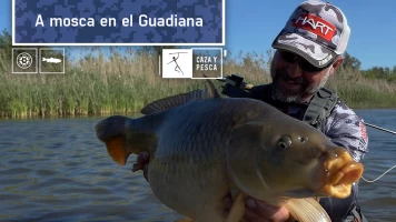 A mosca en el Guadiana