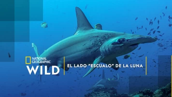 El lado 