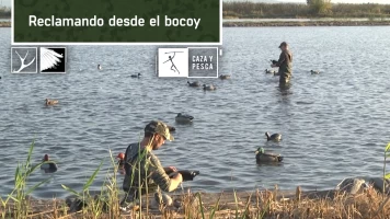 Reclamando desde el bocoy