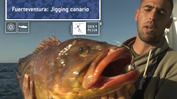 Fuerteventura: jigging canario