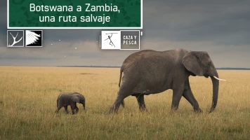 Botswana a Zambia una ruta salvaje