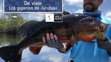 De Viaje: Los gigantes de Jurubaxí