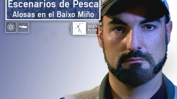 Escenarios de pesca: Alosas en el  Baixo Miño