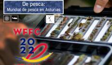 De pesca: mundial de pesca en Asturias