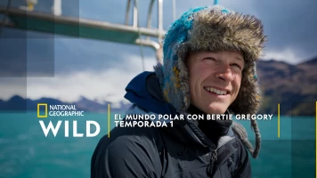El mundo polar con Bertie Gregory