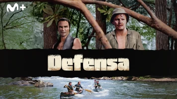 Defensa
