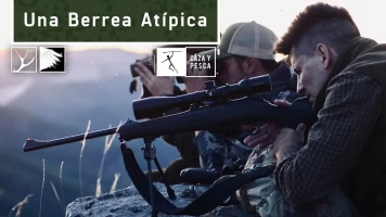 Una berrea atípica