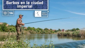 Barbos en la ciudad imperial