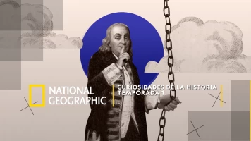 Historia singular