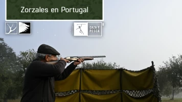 Zorzales en Portugal