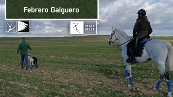 Febrero galguero