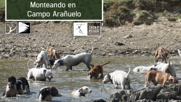 Monteando en campo Arañuelo