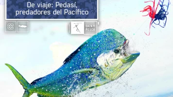 De viaje: Pedasí, predadores del Pacífico