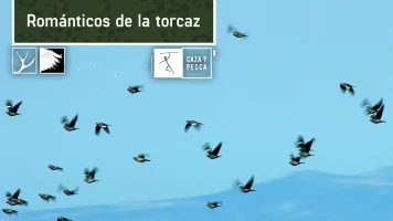 Románticos de la torcaz