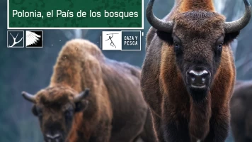 Polonia. El país de los bosques
