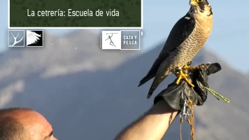 La cetrería: escuela de vida