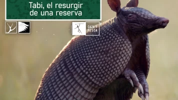 Tabi, el resurgir de una reserva