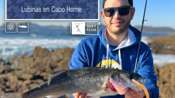 Lubinas en Cabo Home