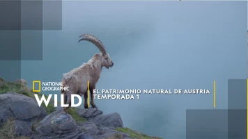 El patrimonio natural de Austria