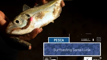 Surfcasting Santa Lucía