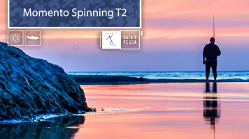 Momento Spinning