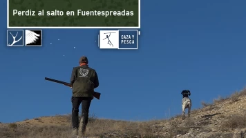 Perdiz al salto en Fuentespreadas