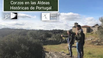 Corzos en las aldeas históricas de Portugal