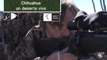 Chihuahua, un desierto vivo