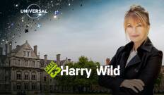 Harry Wild. T(T1). Harry Wild (T1)