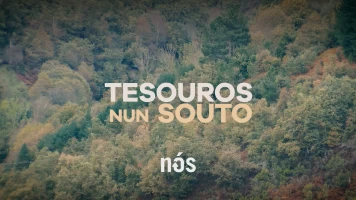 Tesouros nun souto dos Ancares