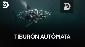 El tiburón autómata