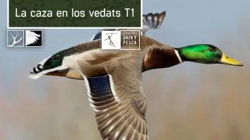 La caza en los Vedats