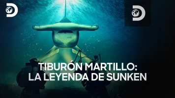 Tiburón martillo: la leyenda de Sunken
