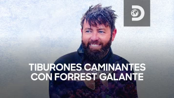 Tiburones caminantes con Forrest Galante