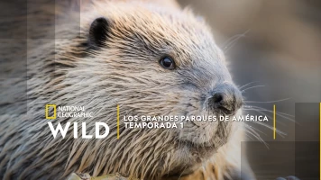 Los grandes parques de América