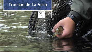 Truchas de La Vera