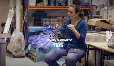 Inventario de vespoideas: A vespoidea de Carolina Martínez: O proxecto Biovalvo