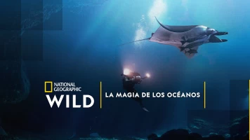 La magia de los océanos