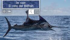De viaje: El reto del Billfish
