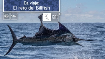 De viaje: El reto del Billfish