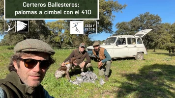 Certeros ballesteros: Palomas a cimbel con el 410