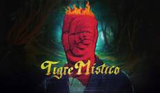 Tigre místico