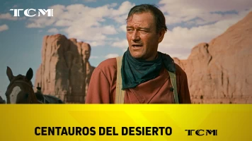 Centauros del desierto