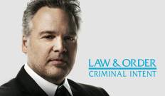 Ley y orden: Acción criminal